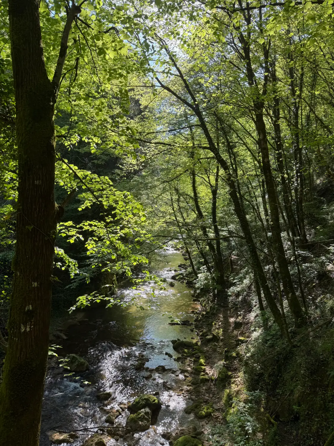 Valle dell'Aniene